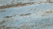 papier peint en vinyle bleu moderne classique uni nouveau bloc 2.0 édition 2 153