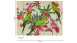 Papier peint vinyle The Wall Fleurs & Nature Vert Vintage 541