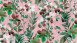 Papier peint vinyle The Wall Fleurs & Nature Vert Vintage 731