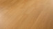 Stratifié MEISTER - Classic LC 150 Oak 462