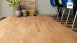 Haro Parquet - Series 4000 permaDur Hêtre étuvé Trend (523789)