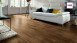 Haro Parquet - Series 4000 permaDur Noyer américain Exquisit (523812)