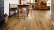Haro Parquet - Series 4000 permaDur Chêne Sauvage (524634)