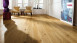 Haro Parquet - Series 4000 permaDur Chêne Sauvage (524634)
