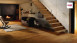 Haro Parquet - Series 4000 naturaLin plus Chêne ambré Markant (528678)