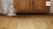 Haro Parquet - Series 4000 naturaLin plus Chêne Trend huilé naturel (530135)