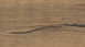 Haro Tritty 100 - Silent CT 4V chêne italien naturel authentique - SA