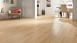 Haro Parquet - Series 4000 permaDur Chêne blanc clair Markant (531216)