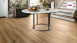 Haro laminé Tritty 100 Campus 4V chêne italica crème planche authentique