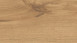 Haro Laminate Tritty 100 Campus 4V Chêne alpin nature authentique/planche mat