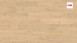 Haro Laminate Tritty 100 Silent CT Oak Portland puro 4V plank