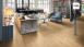 Haro Laminate Tritty 100 Gran Via 4V Silent Pro Oak Portland puro planche authentique