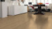 Haro Laminate Tritty 100 Gran Via 4V Silent Pro Oak Portland puro planche authentique