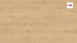 Haro Laminate Tritty 100 Gran Via 4V Silent Pro Oak Portland puro planche authentique