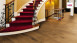 Haro Parquet - Series 4000 Plaza naturaLin plus Chêne ambré Universal (533499)