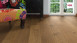 Haro Parquet - Series 4000 Plaza naturaLin plus Chêne ambré Universal (533499)