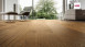 Haro Parquet - Series 4000 Plaza naturaLin plus Chêne ambré Universal (533499)