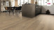 Haro parquet 4000 - Plaza 4V Chêne gris tabac Universal alpin