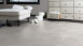 Gerflor Sol PVC à coller - Virtuo 30 Glue Down Latina Clear