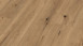 Stratifié MEISTER - Stratifié MeisterDesign LD 250 Chêne des champs naturel 6844