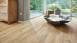 Stratifié MEISTER - Stratifiés MeisterDesign LD 250 Chêne du désert 6998