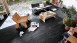 Sol design MEISTER - MeisterDesign comfort DB600S Black Lava 7323