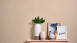papier peint en vinyle beige classique uni Daniel Hechter 5 627