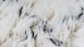 tapis planeo - Casablanca 140 nature / ivoire