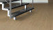 planeo Objet - Carmel Oak