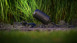 planeo éclairage de jardin 12V - spot LED Castor 8 - 8W 800Lumen