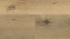 Wineo Vinyle à coller - 800 wood XL Corn Rustic Oak (DB00064)