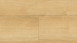 Wineo Vinyle à coller - 800 wood Wheat Golden Oak (DB00080)
