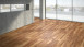 Parador Parquet - Classic 3060 Cerisier européen animé (1518116)