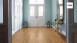 Haro Tritty 100 - Silent CT Campus 4V Chêne alpin naturel mat authentique - SA