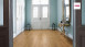 Haro Laminate Tritty 100 Campus 4V Chêne alpin nature authentique/planche mat