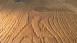 planeo Parquet - Chêne Classic Naturel huilé naturellement (MSP-912352)