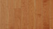 Parador Parquet - Trendtime 4 Cerisier américain naturel (1257371)