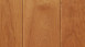 Parador Parquet - Trendtime 4 Cerisier américain naturel (1257371)