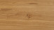 Parador Parquet - Basic 11-5 Chêne rustique (1518249)