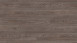 Wineo sol organique - 1500 bois L chêne classique hiver - vinyle adhésif 