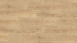 Wineo sol organique - 1500 bois L sable du chêne du canyon - vinyle adhésif 