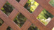 planeo Basic - clôture Type X 180 x 205 cm chêne doré