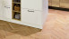 Project Floors Vinyle à coller - Herringbone PW 1633/HB (PW1633HB)