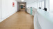 Project Floors lame PVC à coller - floors@work55 PW 3110-/55