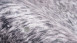tapis planeo - Western 425 argent / brun