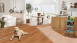 planeo Rigide sol PVC BUCURA