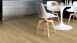Gerflor Sol PVC à coller - Virtuo 30 Glue Down Sakia