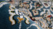 tapis planeo - Ecosse - Edimbourg Bleu