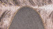 tapis planeo - Western 225 or / brun foncé